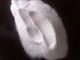 97% Purity Bleaching Chemical Sodium Pyroulfite Food Grade White Crystalline Power